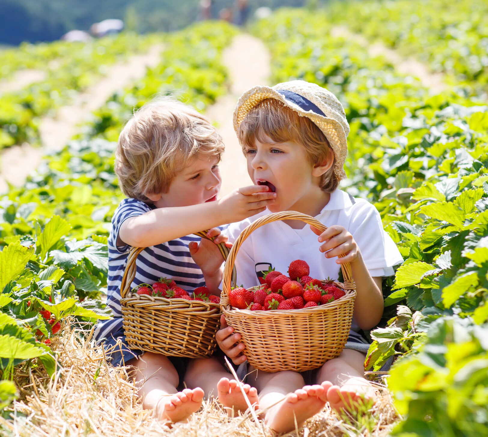 Strawberries and boys