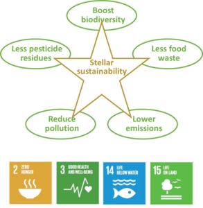 Stellar sustainability