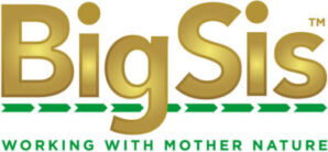 BigSis Logo