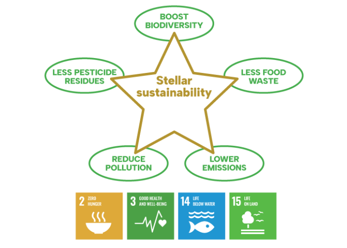 Stellar Sustainability